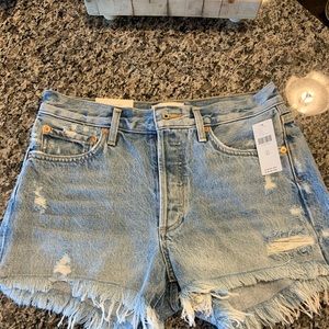 NWT Agolde Parker Vintage Jean Shorts Size 25